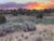 Sunset View From the Arroyo by Stephen Day | Oil on Panel Landscape with sunset and shrubs. For Sale