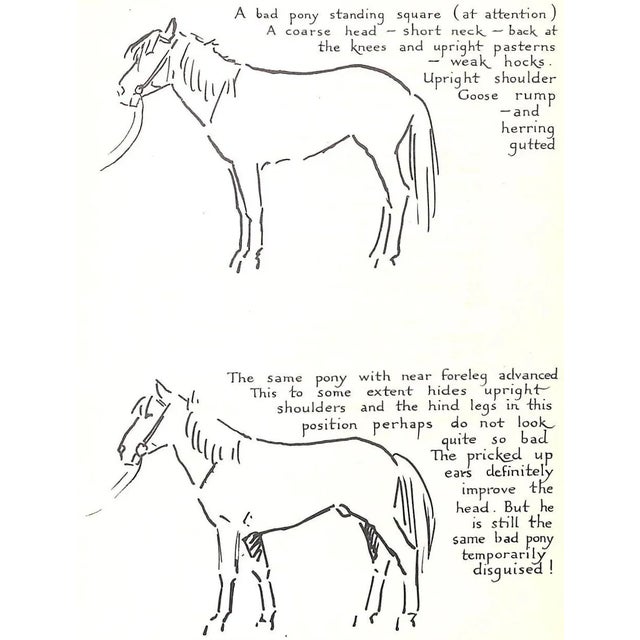 "Getting to Know Your Pony" 1950 Edwards, Lionel For Sale In New York - Image 6 of 13