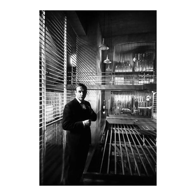 'Goldfinger' Unframed Archival Pigment Print For Sale