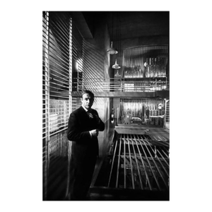 'Goldfinger' Unframed Archival Pigment Print
