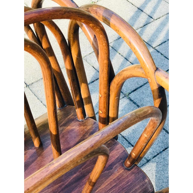 Bentwood Magazine Rack from Thonet, 1880s For Sale - Image 6 of 8
