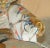 New George Smith "Flying Ducks" Upholstered Armchairs & Ottoman Footstool For Sale - Image 11 of 18