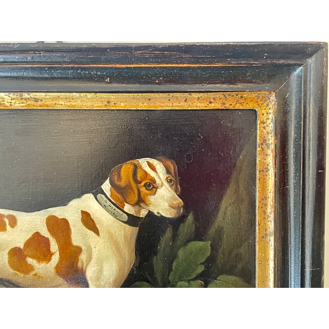 Framed Portrait of a Hound Belonging to the Earl of Chatham For Sale - Image 10 of 16