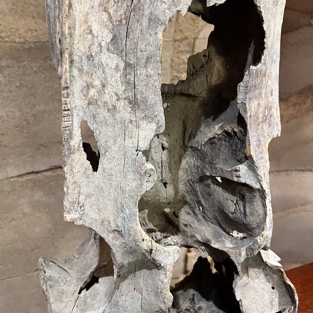 Brown 1950s Abstract Art Mesquite Wood Sculpture Mexico For Sale - Image 8 of 12
