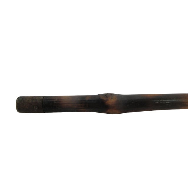 Antique Dog Head With Beady Eyes Hand Carved Folk Art Walking Stick Cane For Sale In Portland, OR - Image 6 of 9