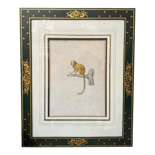 Antique Trobridge Gallery C.1824 Monkey Engraving Print W Chinoiserie Frame For Sale