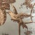 Vintage Brunschwig & Fils Kininvie Toile Euro Pillow With Down Feather Insert For Sale - Image 9 of 12