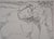 Pablo PICASSO (after). Sleeping nude. . Lithograph (Mourlot workshop) after an ink by the artist. Signed in the plate....