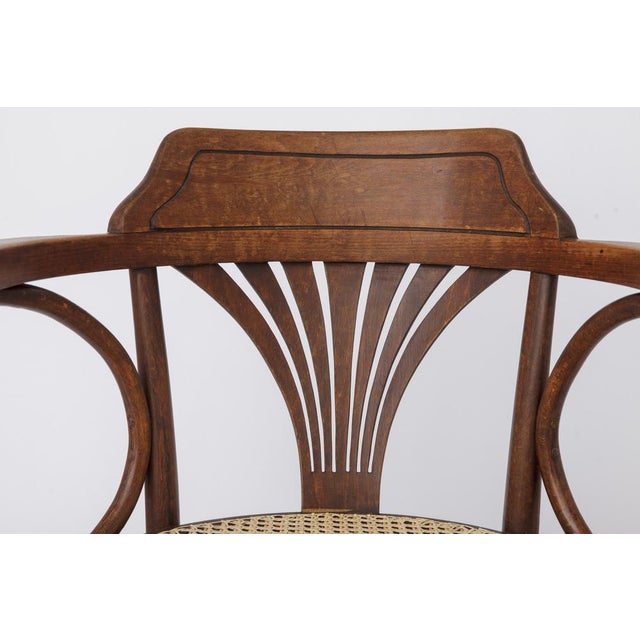 1950s Vintage Bentwood Chair by Fischel, 1940s For Sale - Image 5 of 10