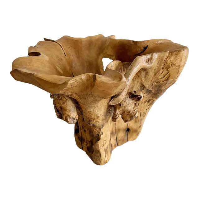 Sculptural Organic Wood Centerpiece Bowl For Sale