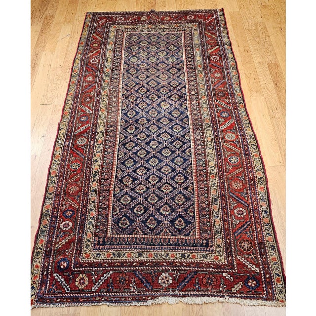 19th Century Persian Kurdish Gallery Rug, Hand-Knotted Wool, Allover Paisley Design, Navy & Red, 5x9 For Sale - Image 10 of 18