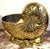 Pair of Large Polished Brass Nautilus Shell Cachepots by Sarreid, Spain, Circa 1970s A substantial pair of polished brass...