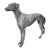 Vintage Cast Lead Greyhound / Whippet Garden Statue For Sale