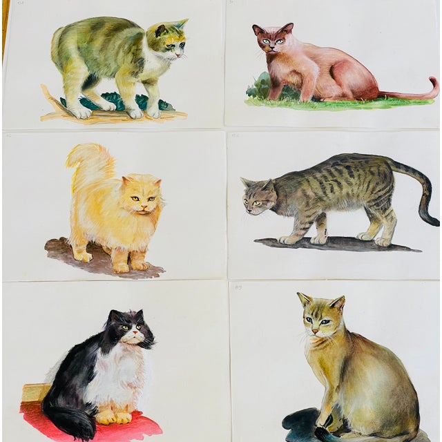 1960s 1960s Gorgeous Original Art Cat Pictures - Set of 6 For Sale - Image 5 of 7