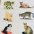 1960s 1960s Gorgeous Original Art Cat Pictures - Set of 6 For Sale - Image 5 of 7