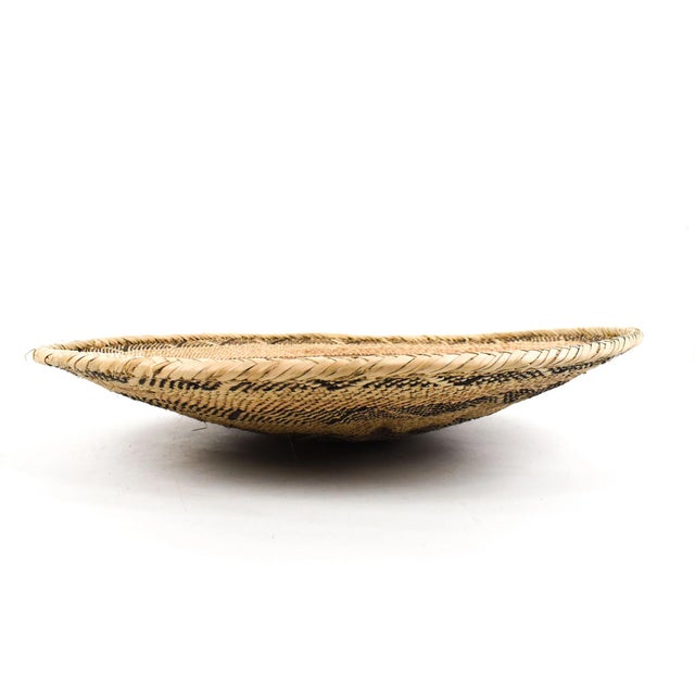 African Early 20th Century Tonga Binga Basket 22.5 Inch For Sale - Image 3 of 7