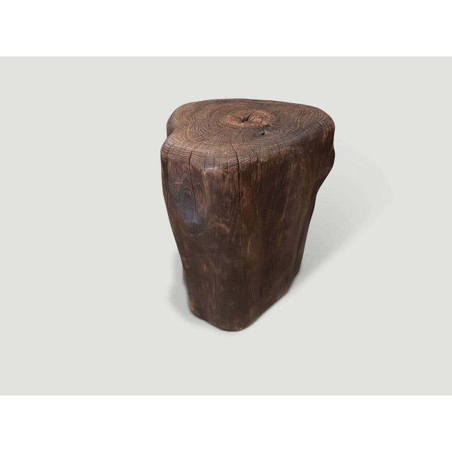 Andrianna Shamaris Modern Organic Charred Teak Wood Tall Side Table For Sale In New York - Image 6 of 6