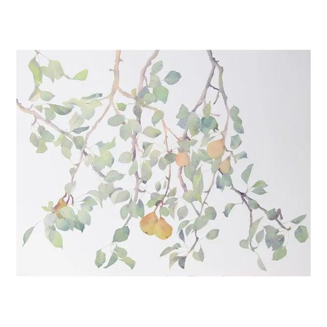 1980s "Pear Tree" Lithograph by Susan Headley van Campen For Sale