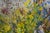 Impressionist Oil Painting Flowers Volobuev Evgeny Vsevolodovich For Sale - Image 3 of 10