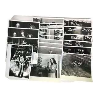 1975 the Rocky Horror Picture Show Lobby Photos - Set of 18 For Sale