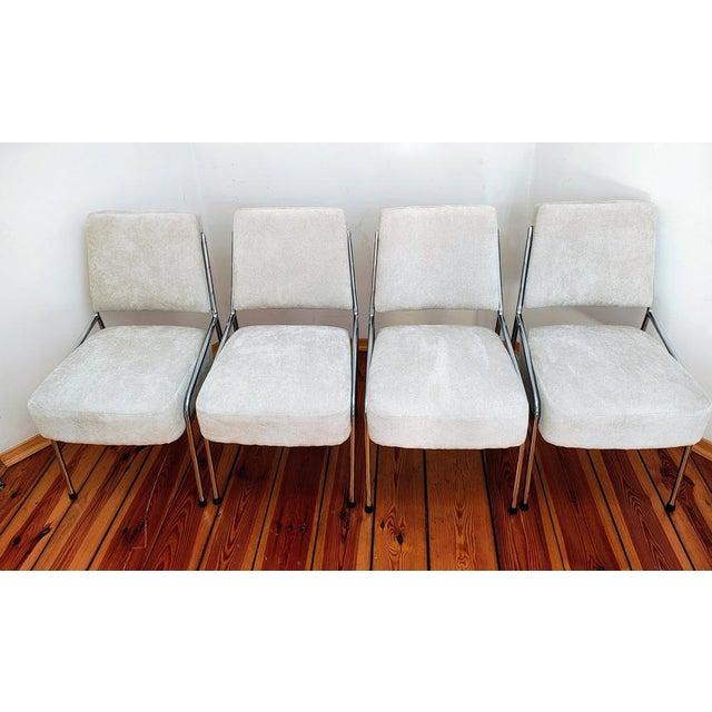 A set of four chairs designed by Hynek Gottwald, Czechoslovakia, Bauhaus Excellent set, perfectly renovated with SOFT...