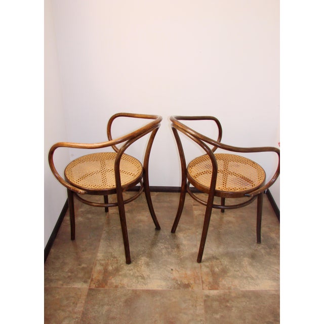 1960s B9/209 Armchairs No. 209 by Radomsko for Thonet, 1960s, Set of 2 For Sale - Image 5 of 10
