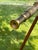 Mid-Century Modern Vintage Fluted Wood and Brass Telescope For Sale - Image 3 of 18