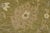 Ziegler Rug 10′ X 14’1” Green Wool Traditional Hand-Knotted Oriental Carpet For Sale - Image 4 of 14