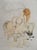 Salvador Dali, Casanova, The Woman and the Pig with Truffles, Original Signed Etching For Sale - Image 6 of 6