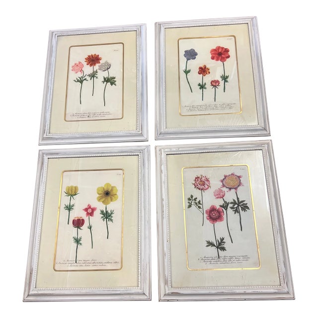 Late 20th Century Set of 4 Botanical Prints, Framed For Sale