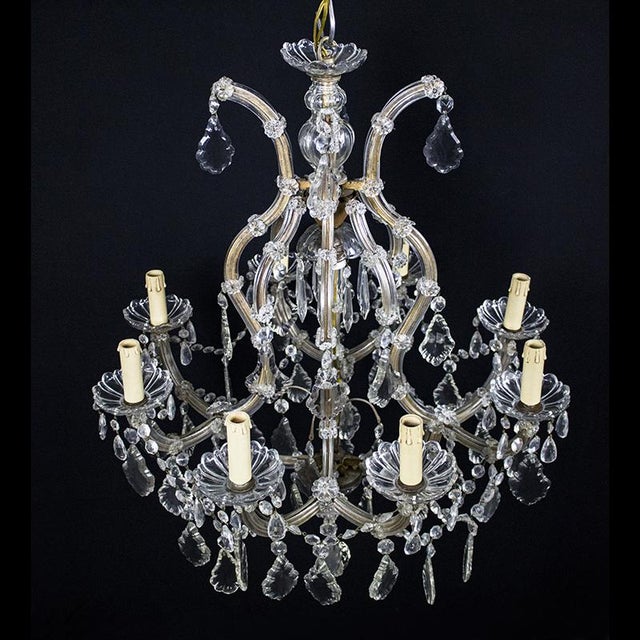 Maria Teresa Chandelier with 8 Lights in Bohemian Crystal, 1950s For Sale - Image 11 of 11