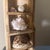Multi-Tier Stained Wood Shelf With Natural Conch and Murex Shells For Sale - Image 9 of 12