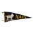 1950s U. S. Naval Academy “Go Get ’Em Goat” Navy Felt Pennant For Sale