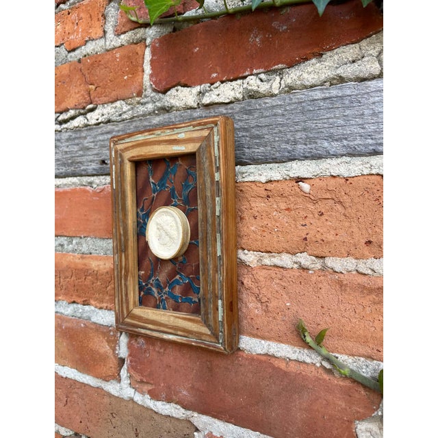 Late 19th Century Classical Framed Grand Tour Intaglios in 1880s Pine Frame For Sale - Image 5 of 8