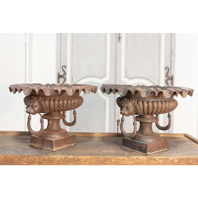French Pair of 19th Century French Cast Iron Urns For Sale - Image 3 of 9
