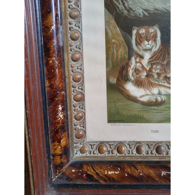 Tigress + Cubs Chromolithograph, 1885, in heavy Victorian Frame by Louis Prang (March 12, 1824 – June 15, 1909) Prang was...
