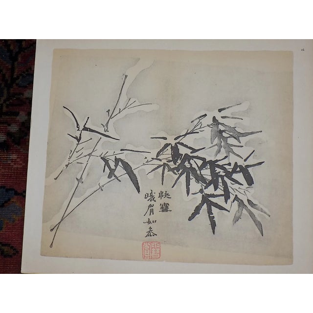 This set of three (3) vintage mid 20th century signed (in the plate) color lithographs (not offset) depict botanical...