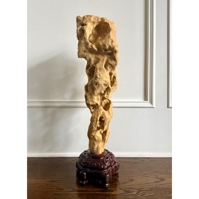 Extraordinary Large Chinese Scholar Rock Yellow Taihu Stone on Wood Stand For Sale - Image 15 of 18