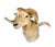 Professionally taxidermied sheep shoulder mount ready for hanging. Natural coloring and expansive horns, commonly found...