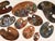 Collection of 13, Vintage Authentic Artist’s Palettes, collected from around the world, various sizes. Smallest 8" across,...