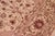 1990s Shabby Chic 1990's Pak-Persian Beige/Red Wool Rug - 9'1'' X 12'0'' For Sale - Image 5 of 9