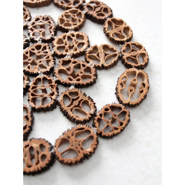 Vintage Walnut Slice Nut House and Tray For Sale - Image 11 of 12