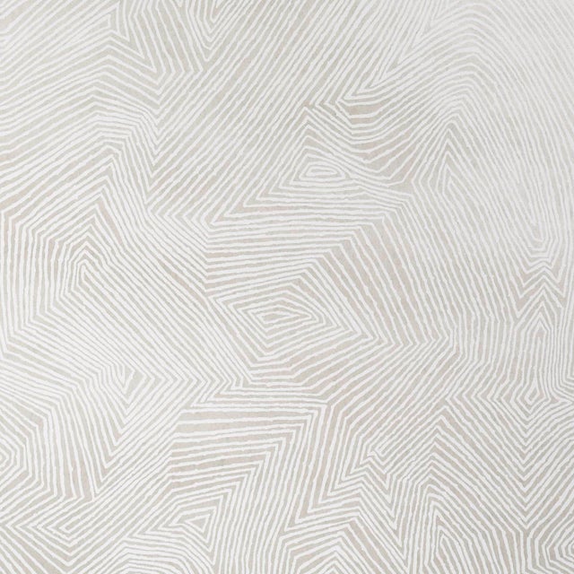 Schumacher Labyrinth Grand Wallpaper In Soft Silver For Sale