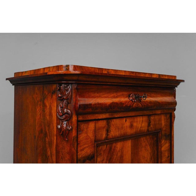 Brown Louis Philippe Cabinet in Mahogany For Sale - Image 8 of 18