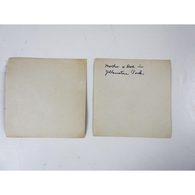 Antique Circa 1910 Yellowstone Tourists Campers Mule Wagon Photographs - a Pair For Sale - Image 4 of 4