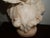 Stone Early 20th Century Marble Bust of a Young Girl Sculpture For Sale - Image 7 of 15