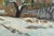 Rural Landscape Antique Painting Original Soviet Art Ukrainian Artist Sokolovsky G. 34-48 1980s For Sale - Image 6 of 6