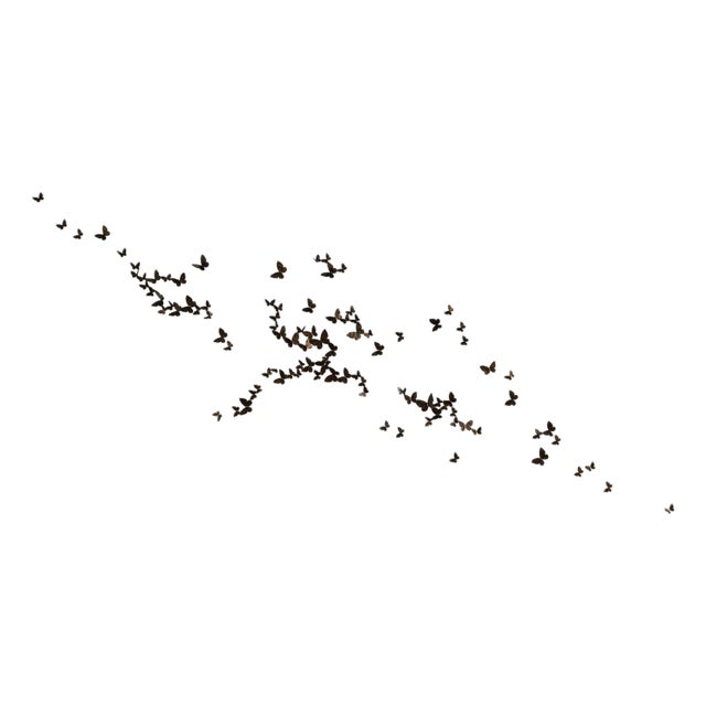 Butterfly Wall Sculpture Large Horizontal Flight Left For Sale