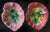 Art Nouveau 19th Century Leaf Dishes, Set of 2, C. 1880's For Sale - Image 3 of 11