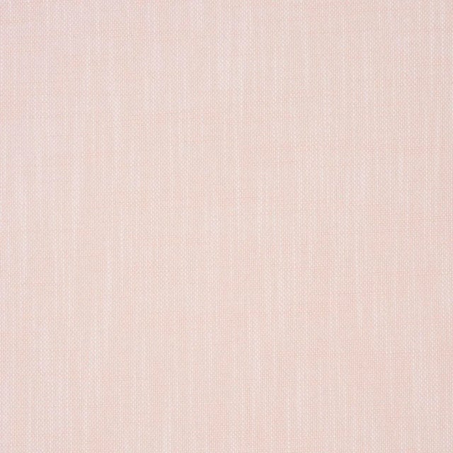 Contemporary SAMPLE - Schumacher Sasha Indoor/Outdoor Fabric In Blush For Sale - Image 3 of 3